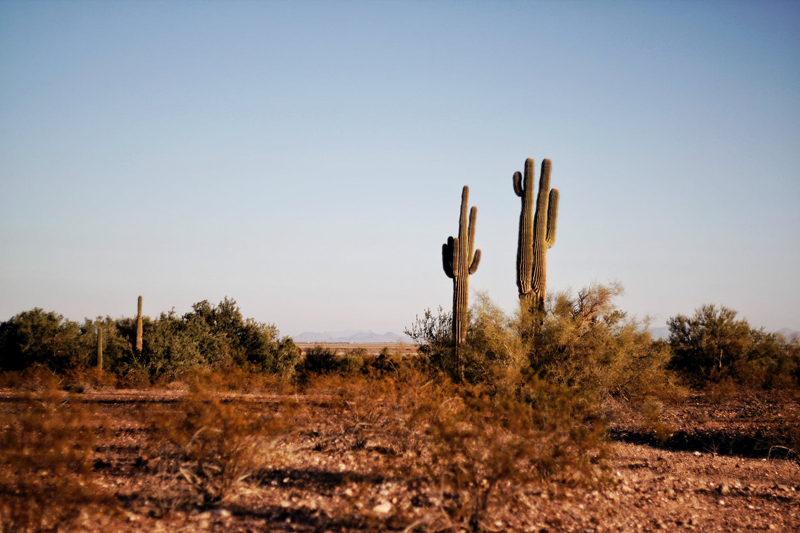 Southwest USA