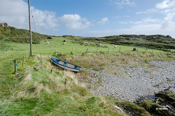 Country Side - Ireland by Al Rollins